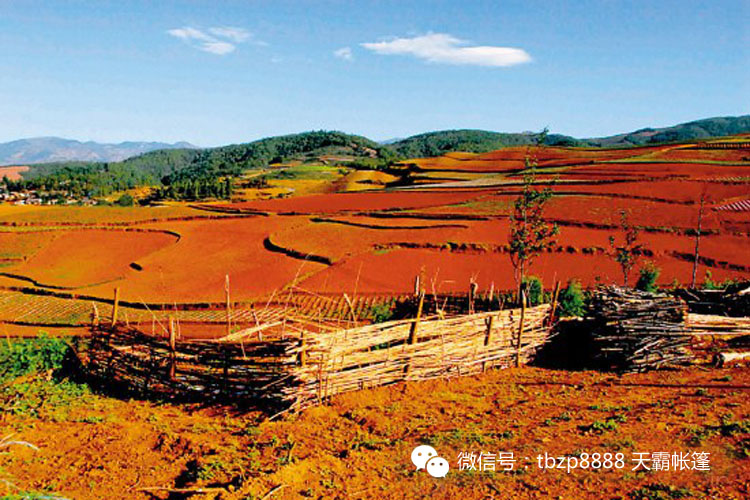 六月美麗的土地，對(duì)的時(shí)間去對(duì)的地方